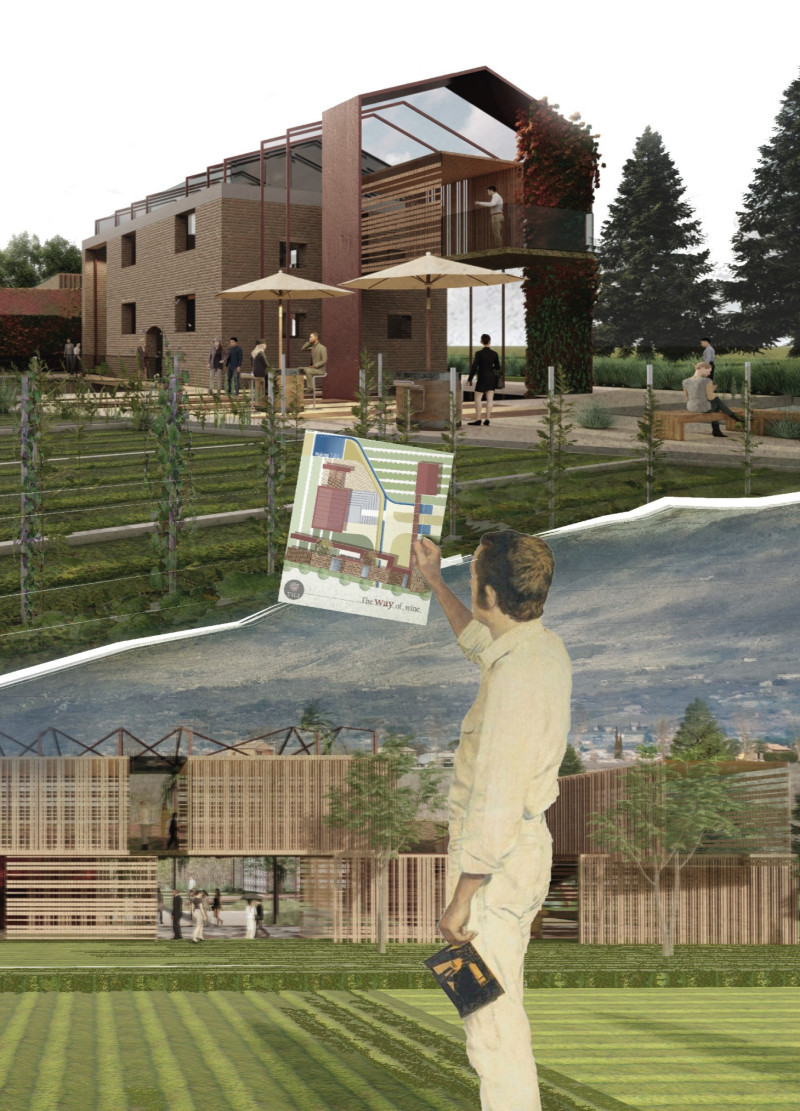 Preserved Brick Structures Framing Multifunctional Gathering Spaces in a Vineyard Setting