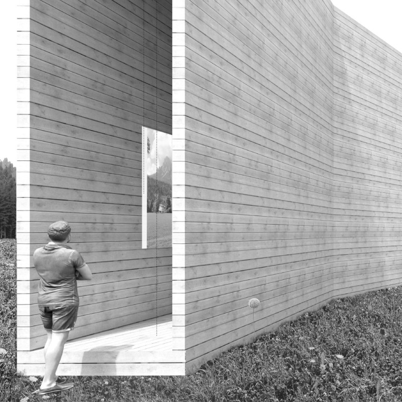 Forest-Inspired Pavilion Utilizing Reclaimed Wood for Ecosystem Restoration