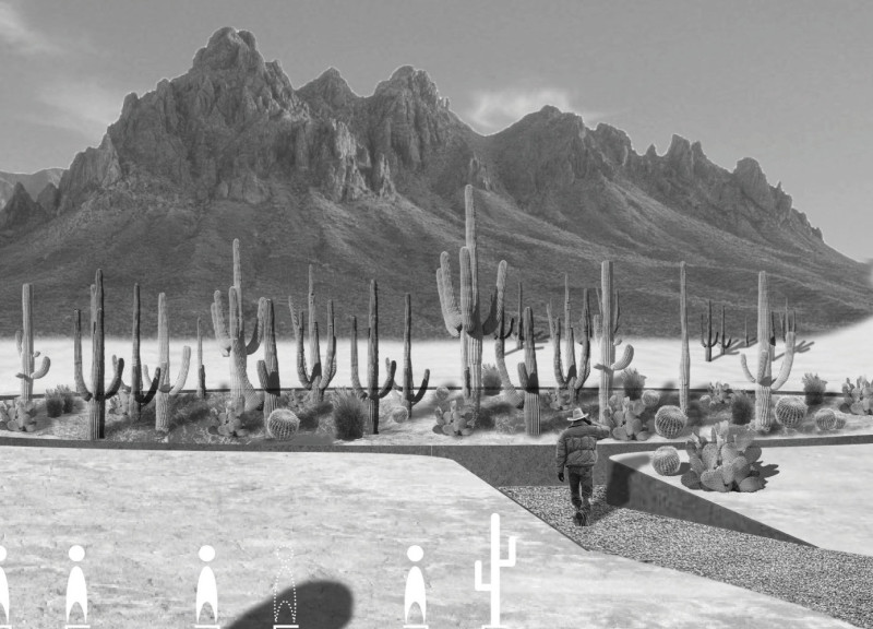 Contemplative Pathways in an Unreachable Desert Garden