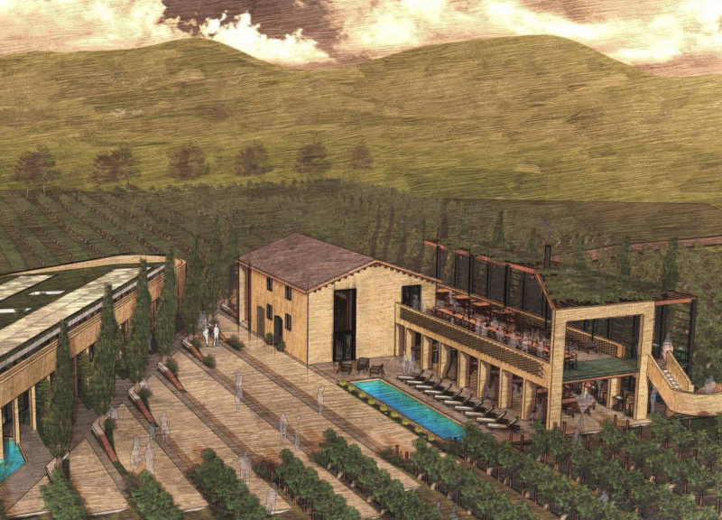 Photovoltaic Panels and Green Roofs Enhancing Sustainable Winery Experience