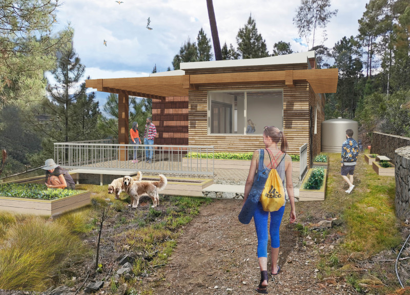 Elevated Yoga Space with Sloped Roof and Natural Surroundings