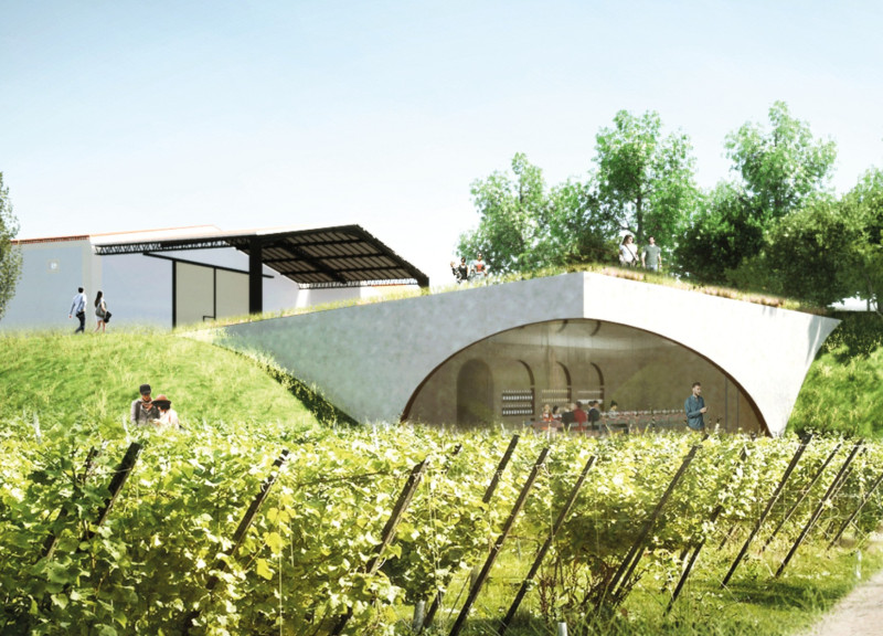 Natural Ventilation and Thermal Mass Enhance Wine Tasting Experience in Vineyard Setting