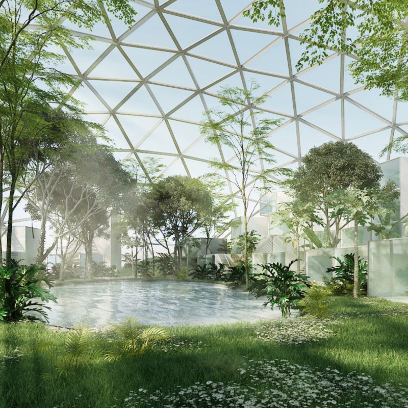 Crafting Community Spaces with Thermal Water Systems and the Areca Plant