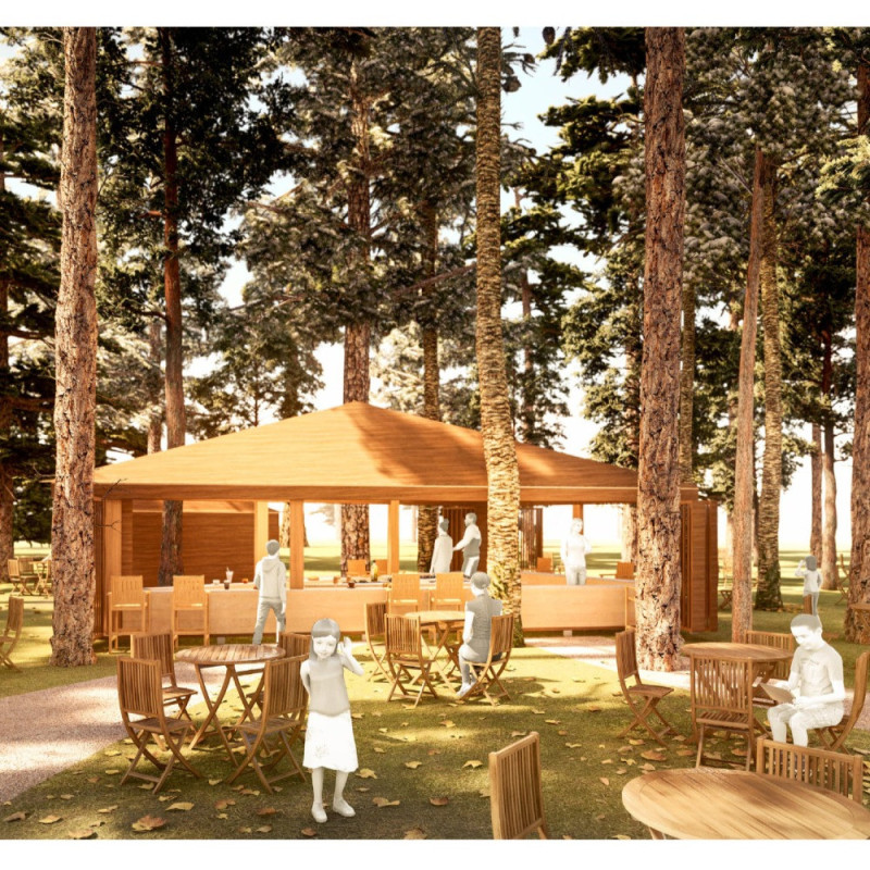 Carbonized Pine Structure Integrated into Forest Environment for Community Engagement